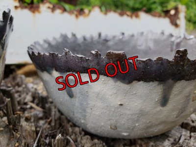 画像6: さざ波しら波鉢〜栃尾さん&トットコラボ（22-7）