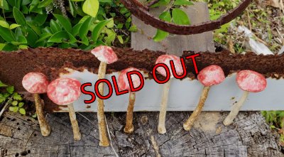 画像3: きのこオブジェ☆赤/ロングタイプ〜22-7