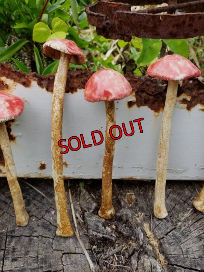 画像5: きのこオブジェ☆赤/ロングタイプ〜22-7