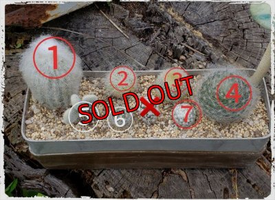 メニューに番号順に名前が書いています。