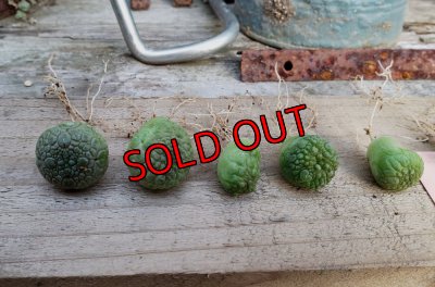 左から→10，9，8，7，6，