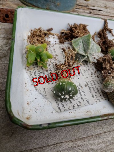 画像5: ミニサボセット〜宇宙シリーズ　6P（22-7）