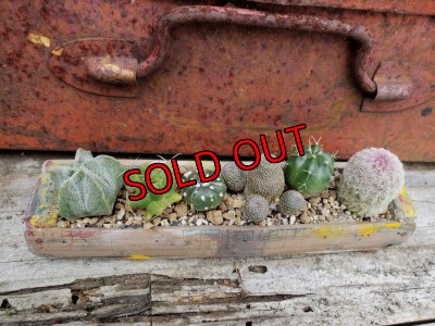 画像2: ミニサボセット〜宇宙シリーズ　6P（22-7）