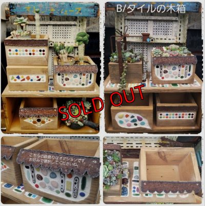 画像4: 2025☆トットのタイルのWS〜フリーメニュー（25-6）