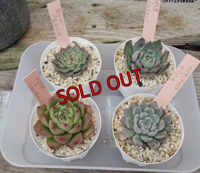 こちらは1例です。