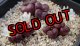 pellucidum ssp. neohalii  ”Makin`s Plum”T1/4H【24-10】