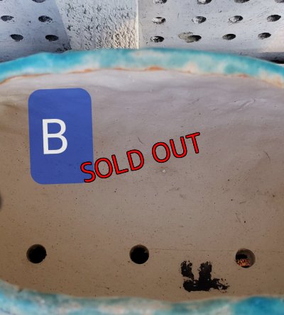 画像10: 再販/栃尾さんの陶器のクジラ鉢（24-12）