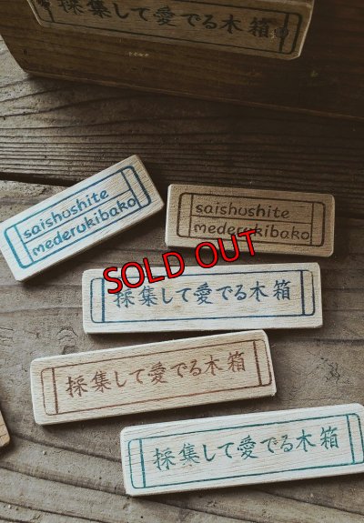 画像5: 【予約ページ】採集して愛でる木箱R-7WS（25-4）