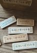 画像5: 【予約ページ】採集して愛でる木箱R-7WS（25-4）