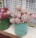 植えるとこんな感じです