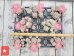画像2: 萌豆群生（25-4）