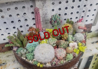 画像5: (1)WS/花とタイルと音楽と/掛け型   〜レコードプレーヤー〜（25-6）