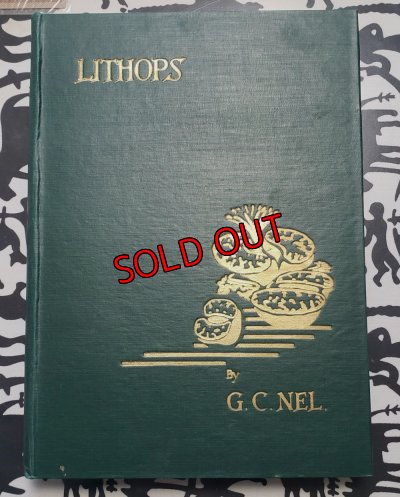 画像1: Lithops~GC NEL〜書籍