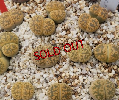 R7 12/29 写真差し替え