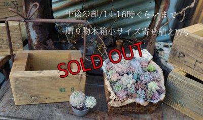 画像4: R8年4月19日/WS詳細ページ（26-3）