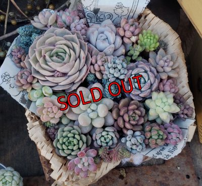 画像6: R8年4月19日/WS詳細ページ（26-3）