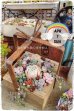 画像1: 贈り物木箱の寄せ植えWS（24-4） (1)