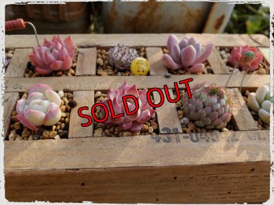 例）木箱に入れるとこんな感じになります。