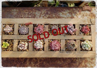 例）木箱に入れるとこんな感じになります。