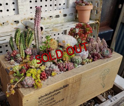 画像5: 【販売と予約ページ】黄色い目盛り木箱（25-5）