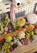 画像7: 【販売と予約ページ】黄色い目盛り木箱（25-5）