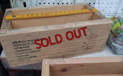 画像3: 【販売と予約ページ】黄色い目盛り木箱（25-5）