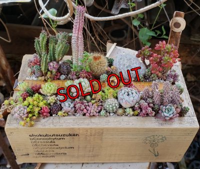 画像2: 【販売と予約ページ】黄色い目盛り木箱（25-5）