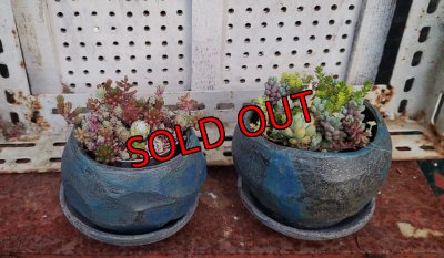 画像3: mentori/藍（23－7）