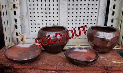 画像3: リンゴ/臙（23－7）