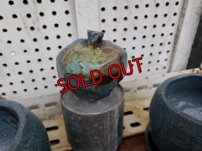 画像6: リンゴ/青と辛子（23－7）