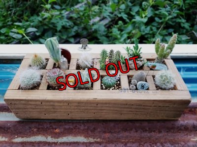 キットを使った寄せ植え参考例です。