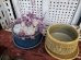 画像5: 【福袋】hechicamiさんの陶器鉢/B（24－1） (5)