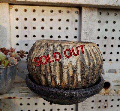 画像7: 縞-2（23－7）