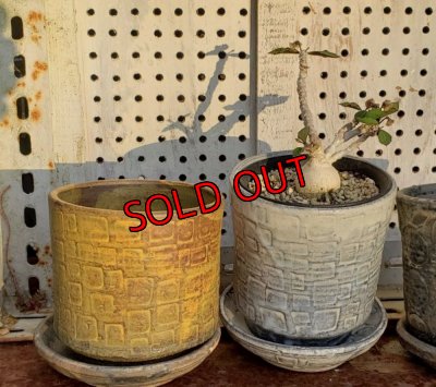 画像12: タイル-2（23－7）