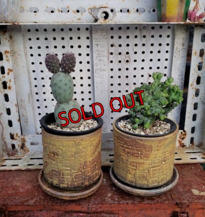 画像3: 【福袋】hechicamiさんの陶器鉢/A（24－1）