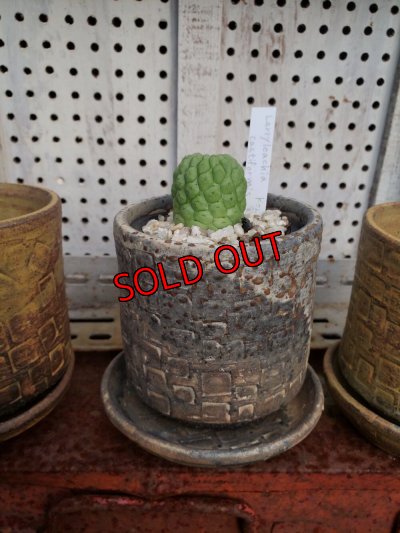 画像8: タイル-3（23－7）