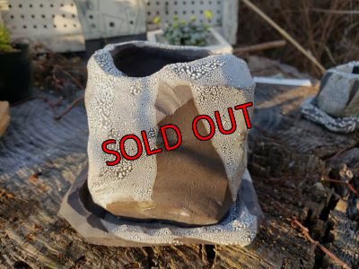 画像5: 栃尾さんの器/削り鉢（グレー系）〜中1（20-7）