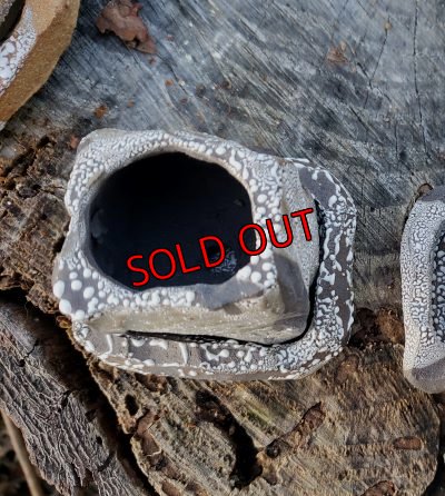 画像4: 栃尾さんの器/削り鉢（グレー系）〜小7（20-7）