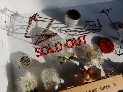 画像9: 小さな宇宙の作り方セット 2019