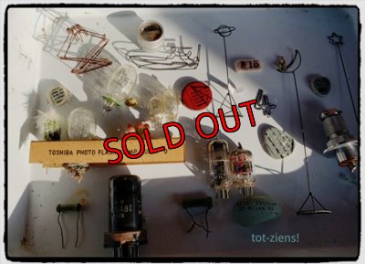 画像5: 小さな宇宙の作り方セット 2019