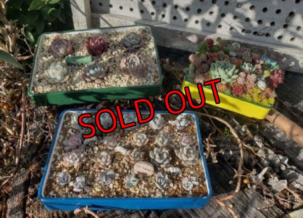 画像9: 限定☆鉄と木の小さな器セット３個入り(1)〜工場のおじいさんシリーズ