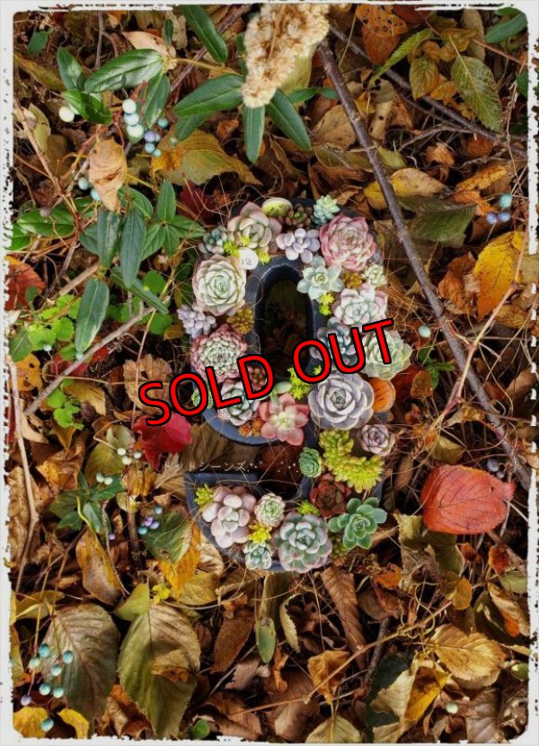 画像2: 栃尾さん＆トットコラボ　数字の器（22-11）