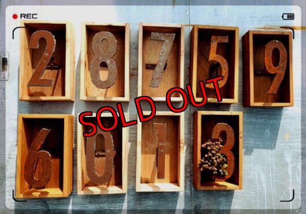 画像5: いちかわふぁーむさんのセダム＆木箱付セット/Ｄタイプ(2/23)