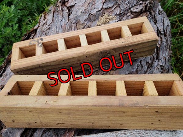 画像2: 小さな植物と小さなパーツのセット〜木箱編♡4/24