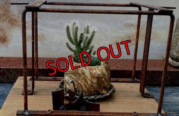 植物入れるとこんな感じです。