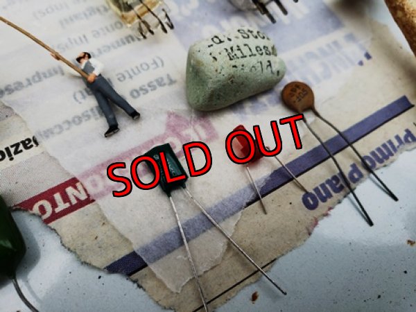 画像6: 古いパーツ/キリトリ☆ポールの授粉作業編-19-6/30-1