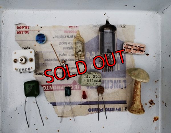 画像3: 古いパーツ/キリトリ☆ポールの授粉作業編-19-6/30-1