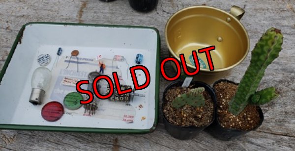 植物はオプションです。