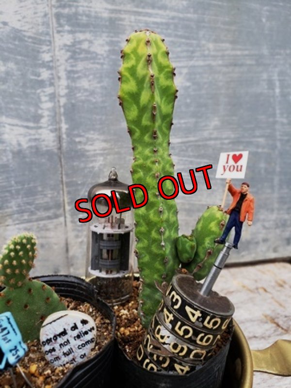 画像5: 古いパーツ/キリトリ☆I LOVE YOU♡告白編-19-6/30-3