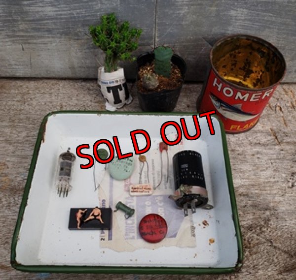 植物はオプションです、